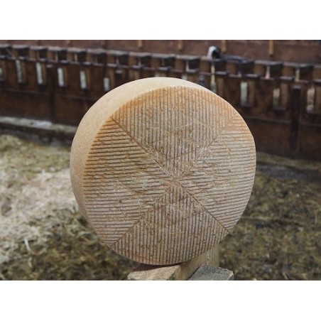 copy of Fromage de chèvre entier (2,6 kg)